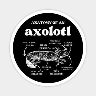 Anatomy of an axolotl axolotls lover Magnet